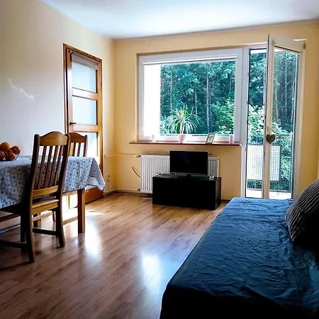 Sopockie Zacisze Apartman